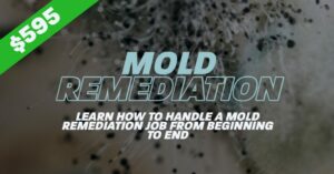 Mold Remediation $595